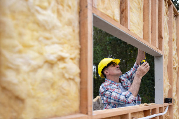 Best Crawl Space Insulation  in Nicholls, GA